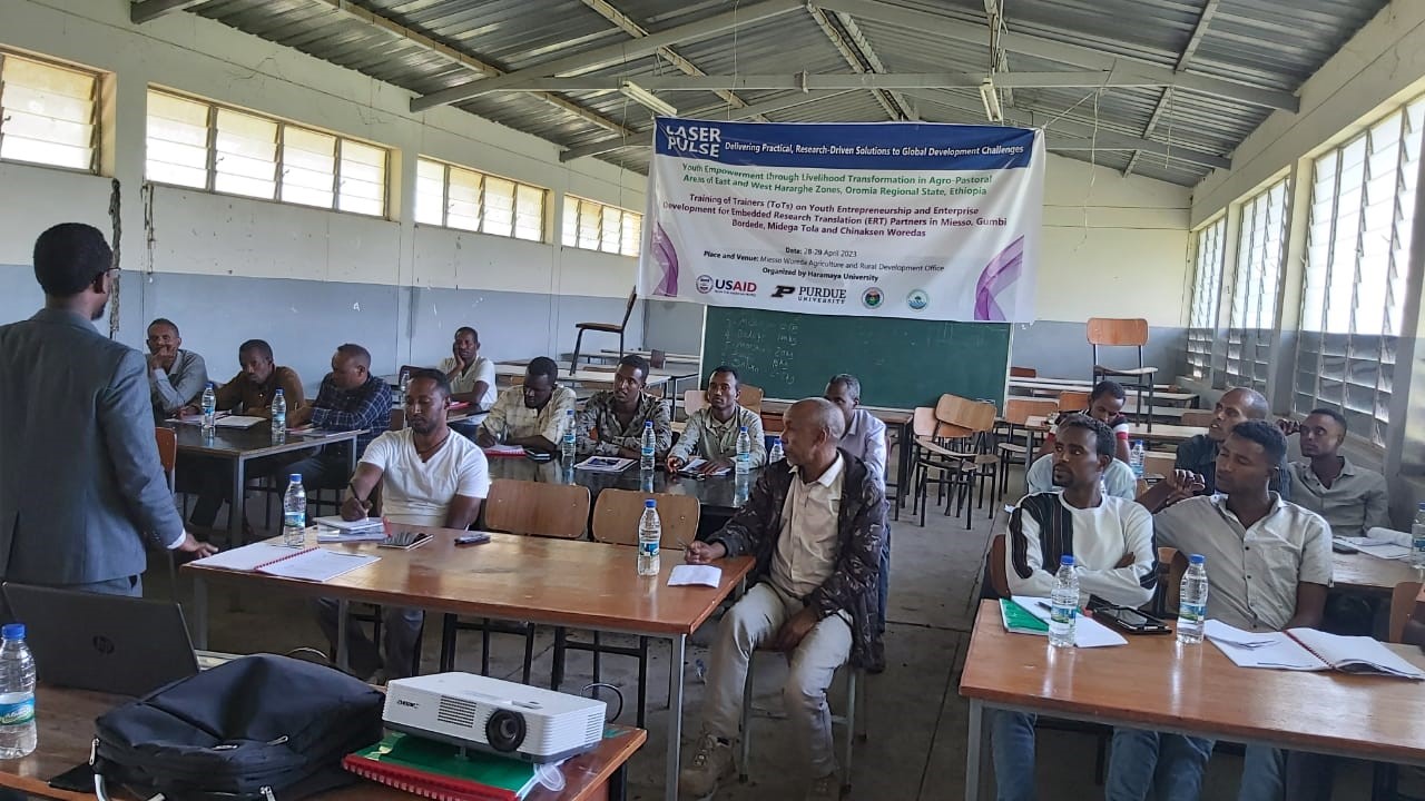 Training of Trainers on Youth Entrepreneurship and Enterprise Development
