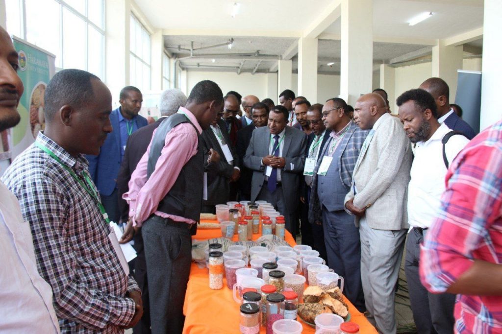 Annual Research Extension and Community Engagement Review Workshop, Haramaya University image