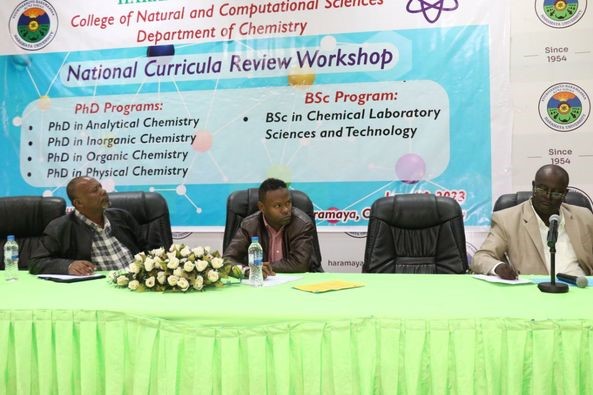 Department of Chemistry National Curriculum Review Workshop photo