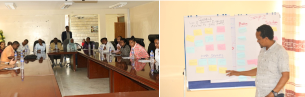 Haramaya University Contributes Its Share To Meet Demands For Food In haramaya-university-contributes-its-share-to-meet-demands-for-food-in