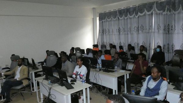 Virtual summer school training by Ethiopian Physics Society in North America picture