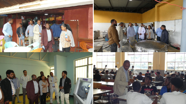 University's top and middle management, academic and administrative staff