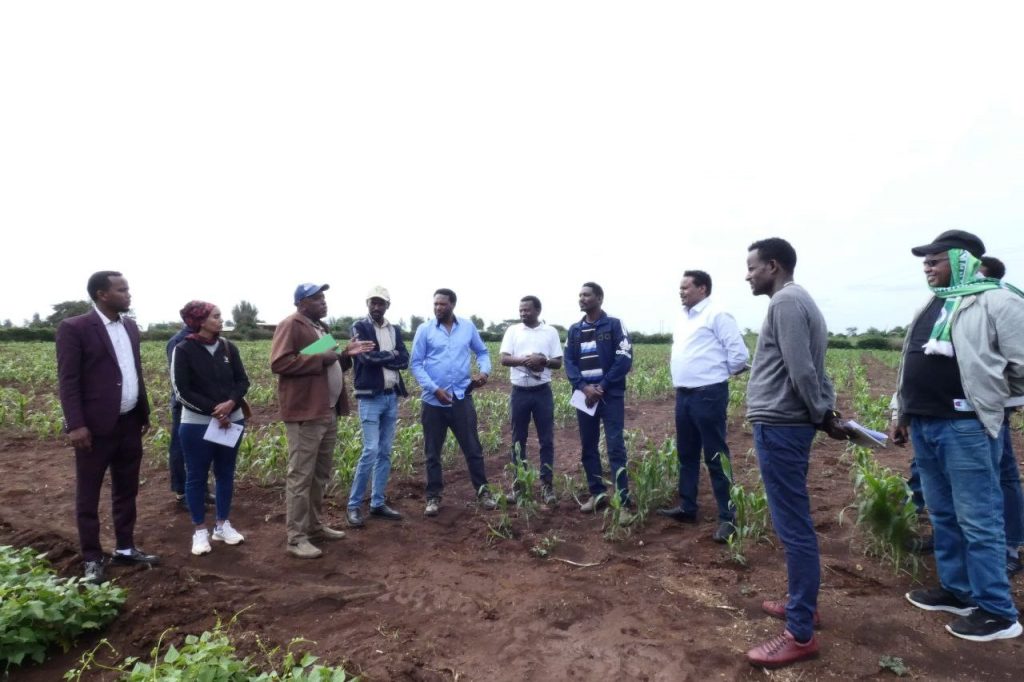Research Office Team and Researchers Visit Research Stations