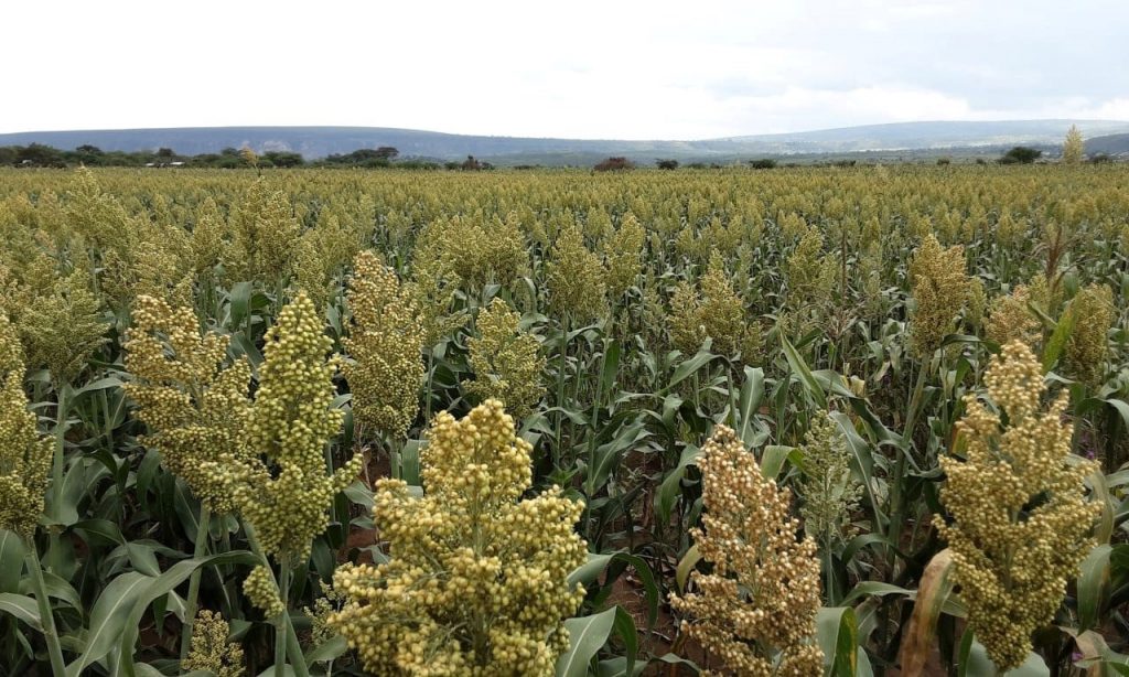 RAISE-FS Project Conducts Field Demonstrations