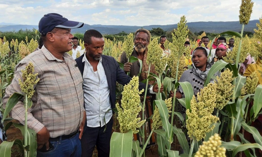 Participants, including farmers, agricultural experts, and development agents