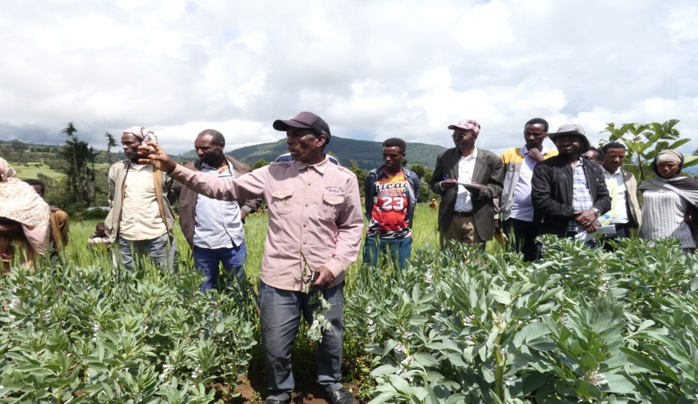 Participants at Agricultural Innovation with Field Day