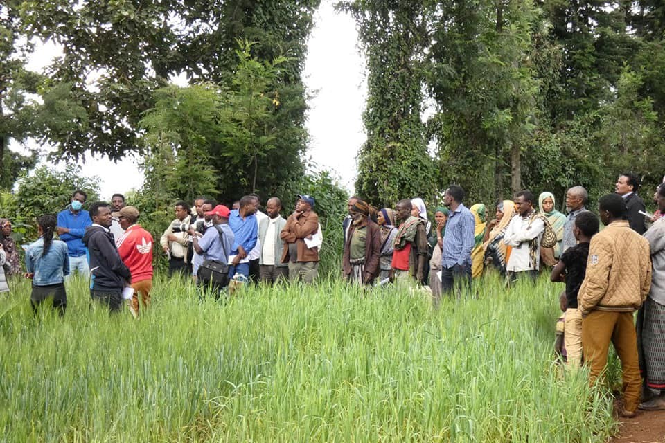 Participants at Agricultural Innovation with Field Day
