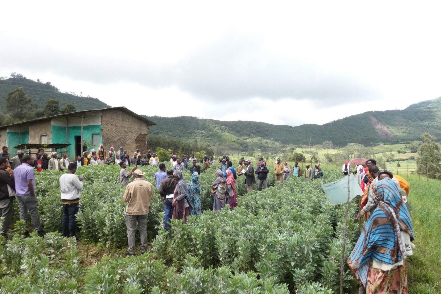 Participants at Agricultural Innovation with Field Day