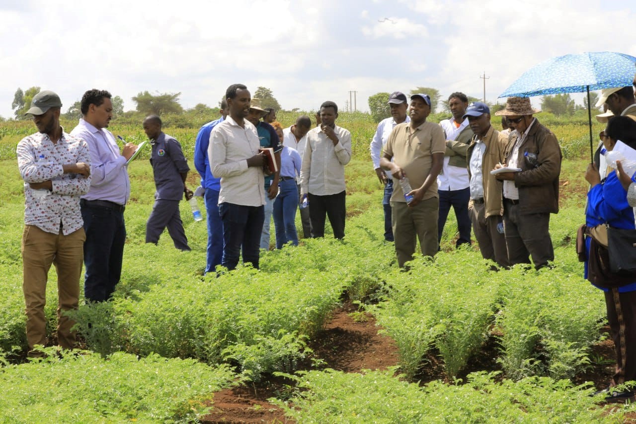 Participants at Agricultural Innovation with Field Day