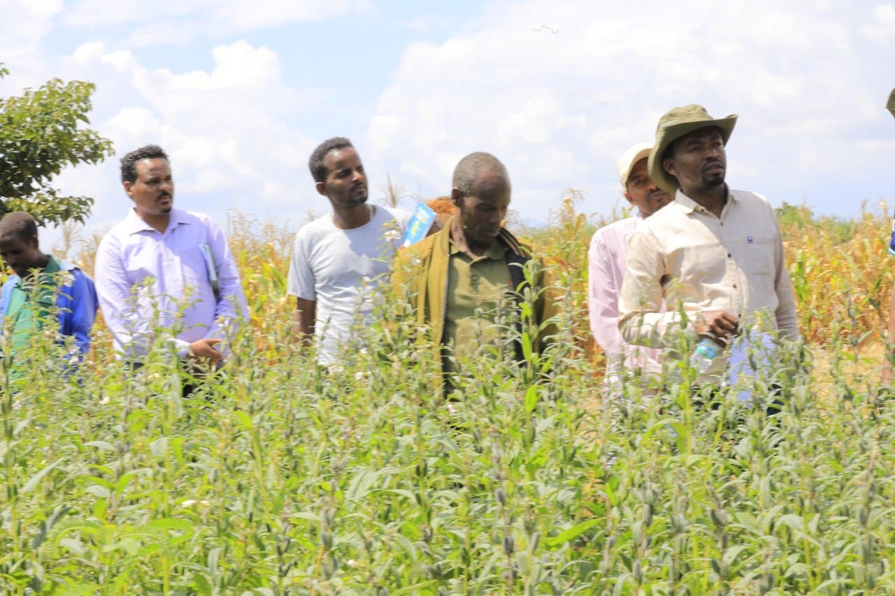Participants at Agricultural Innovation with Field Day