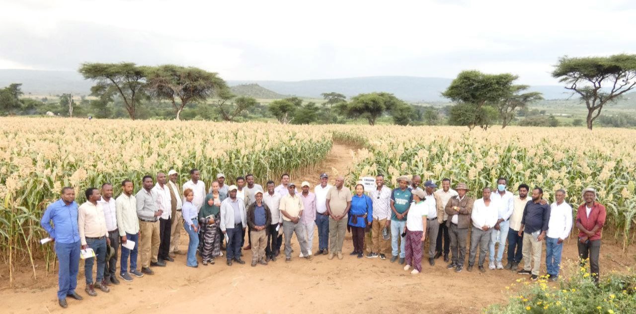 Participants at Agricultural Innovation with Field Day