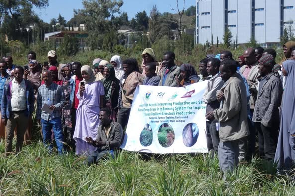 Participants at Farmers' Field Day Showcases Climate-Resilient