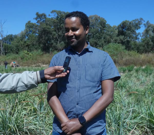 Dr. Abdi Mohammed at Farmers' Field Day Showcases Climate-Resilient