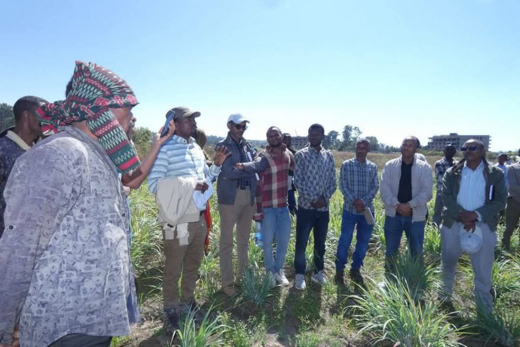 Participants at Farmers' Field Day Showcases Climate-Resilient