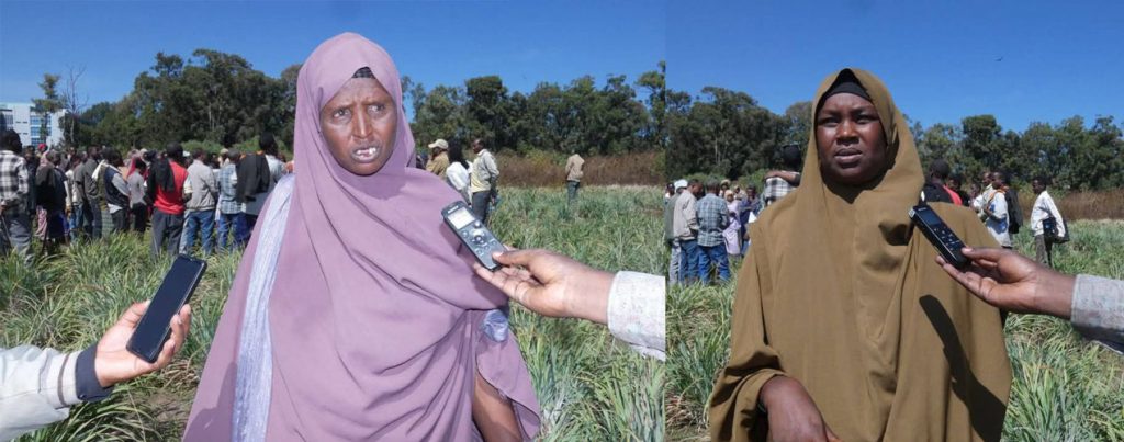 Participants at Farmers' Field Day Showcases Climate-Resilient
