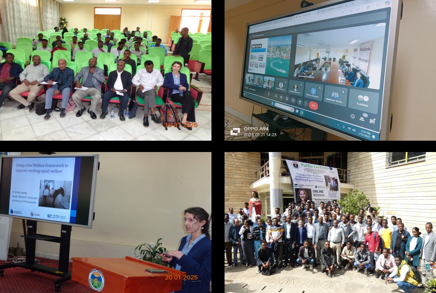 Dr. Emily Haddy at Public Lectures and Online webinar 