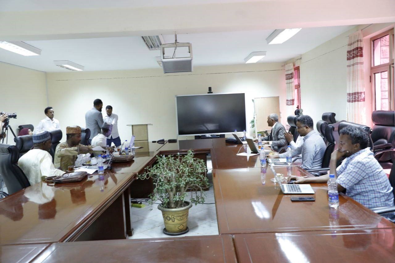 Scholars and ICT professionals from both universities
