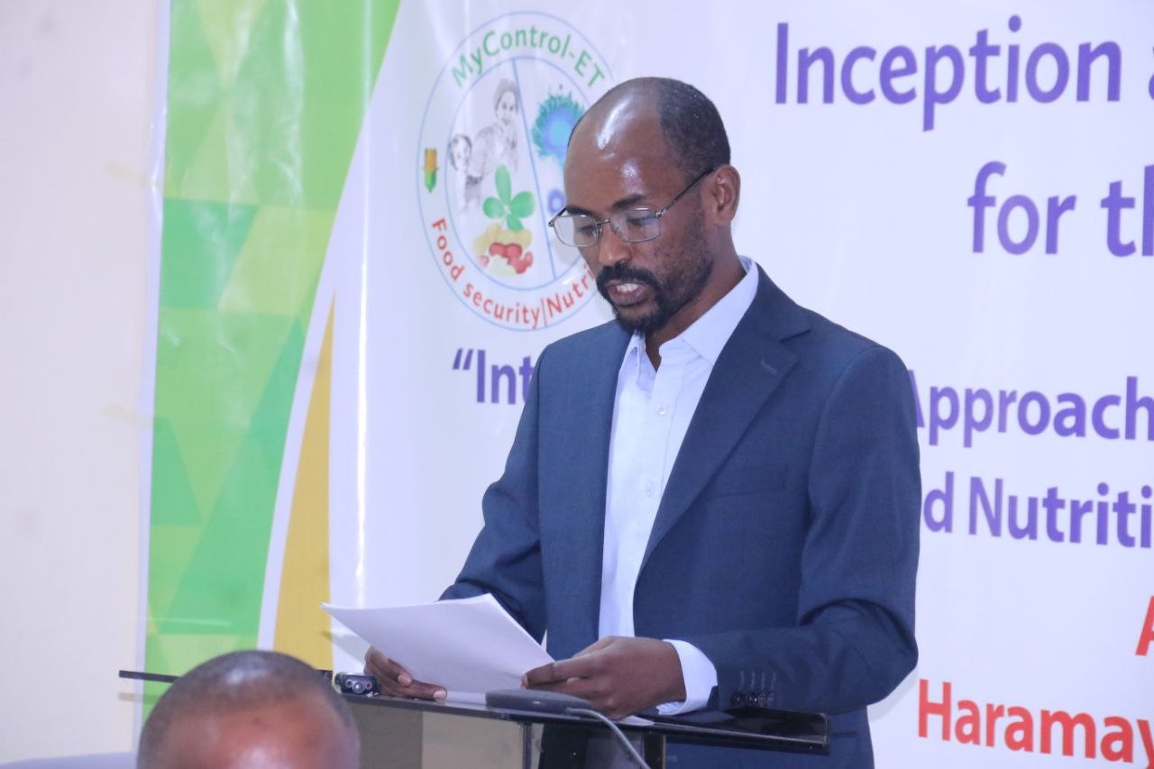 Derebachew Bekana at Mycotoxin Contamination and Boost Food Security