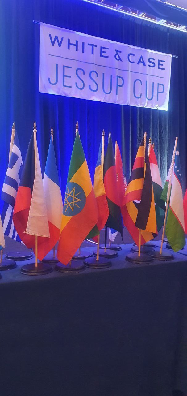 participant country Flag