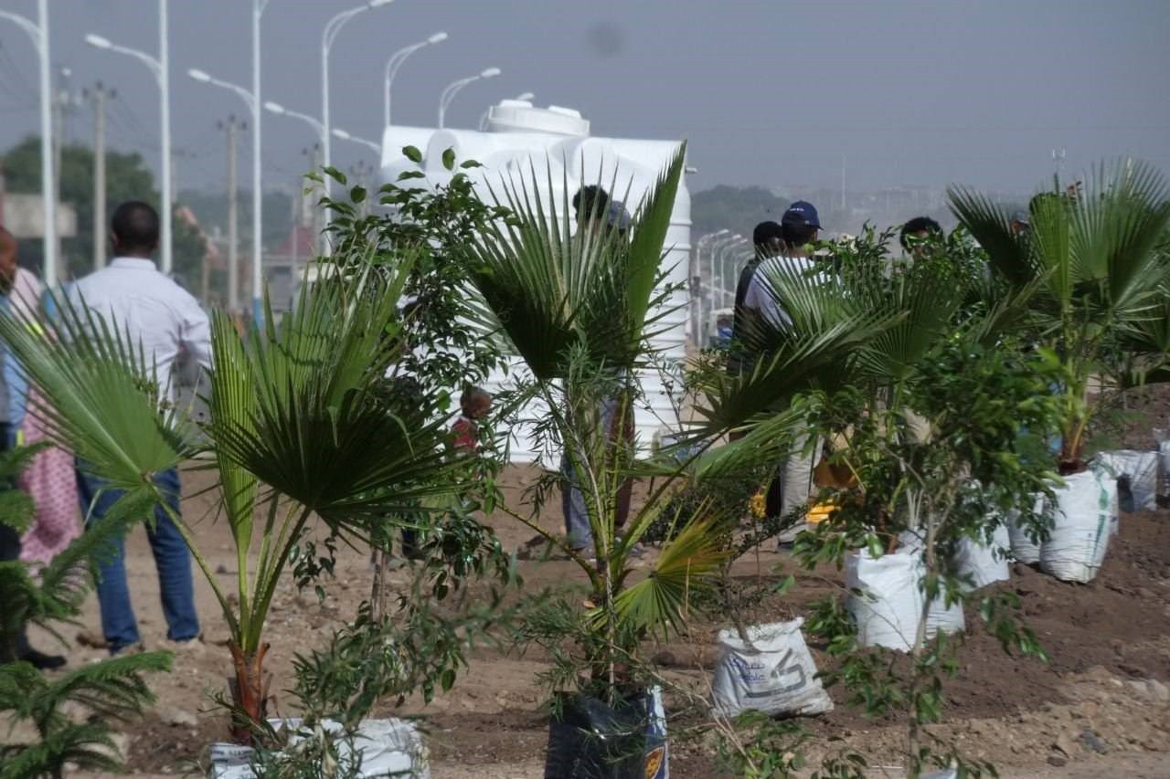 Dire Dawa Launches SUNCASA Urban Tree Planting Program