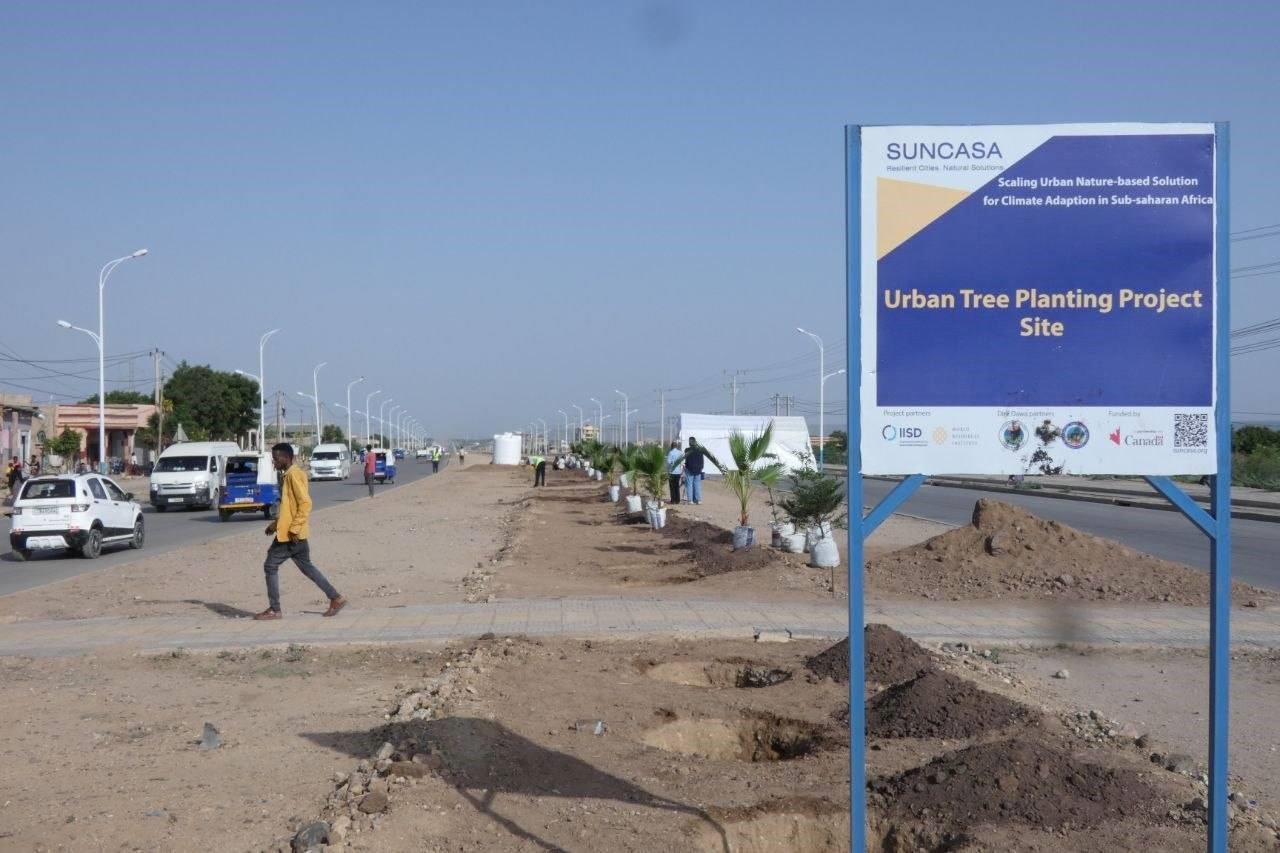 Dire Dawa Launches SUNCASA Urban Tree Planting Program
