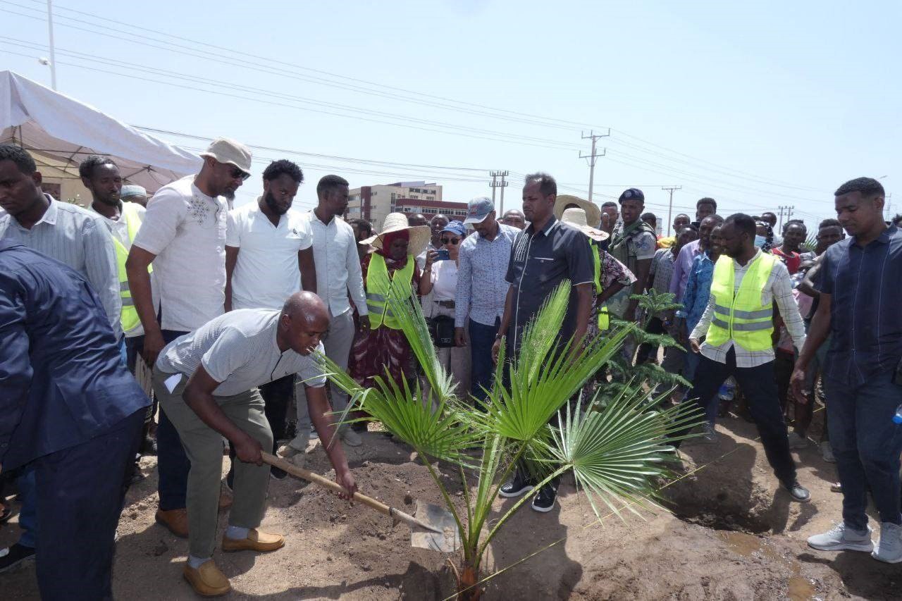 Dire Dawa Launches SUNCASA Urban Tree Planting Program