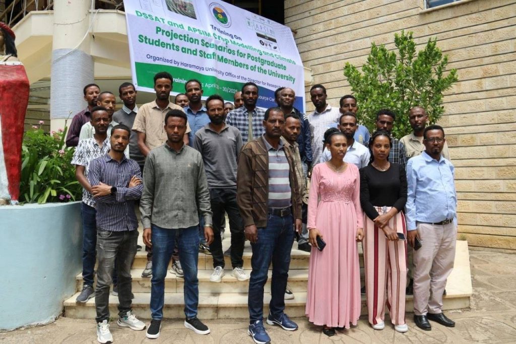 staff members and postgraduate