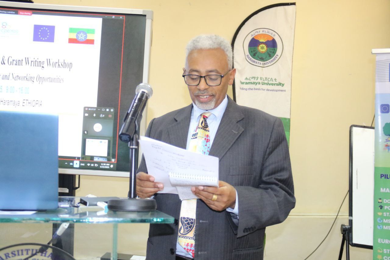 Professor Abi Tadesse