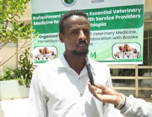 Dr. Abdi Abrahim