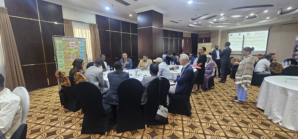 A validation workshop for the project1