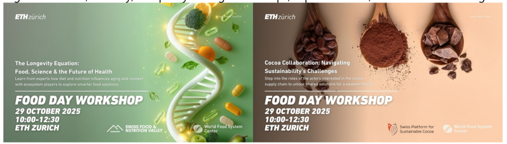 The Food Day Workshops Sample Photo