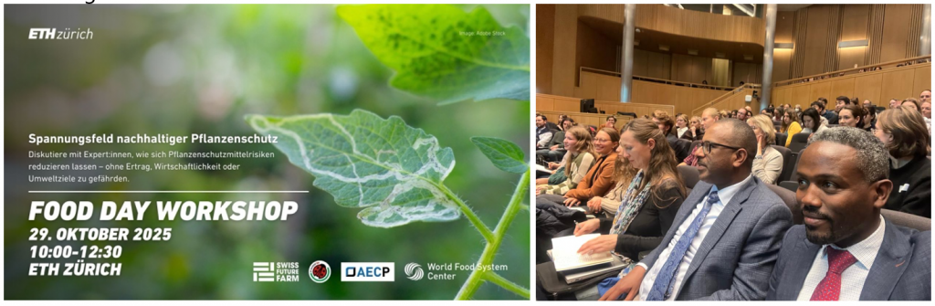 networking lunch for participants, speakers, and experts