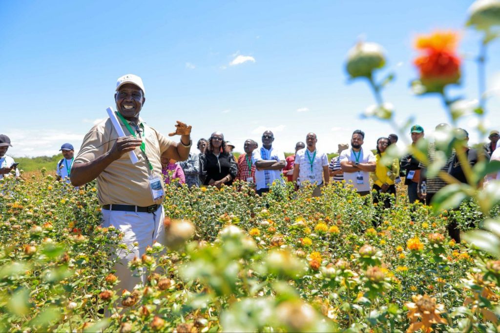 Haramaya University, RUFORUM, 21st Annual General Meeting, Botswana, Higher Education, University Participation, Research and Innovation, African Universities, Academic Collaboration, Agricultural Research, Capacity Building