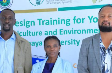 Digital Graphic Design Training for Youth Skilling Dr.Milkias With Trainners Slide photo