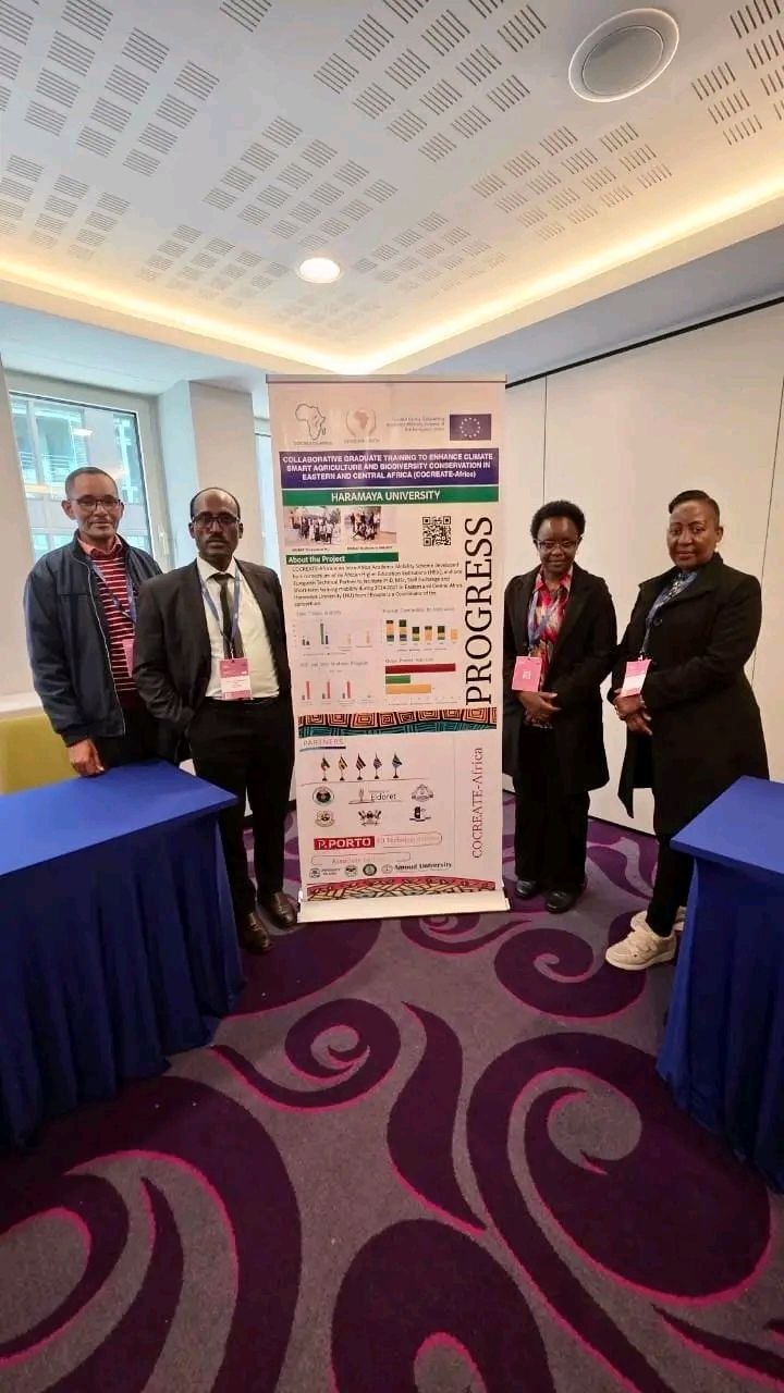 "Green Transition in Africa