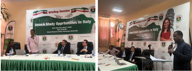 Foundation Year Program