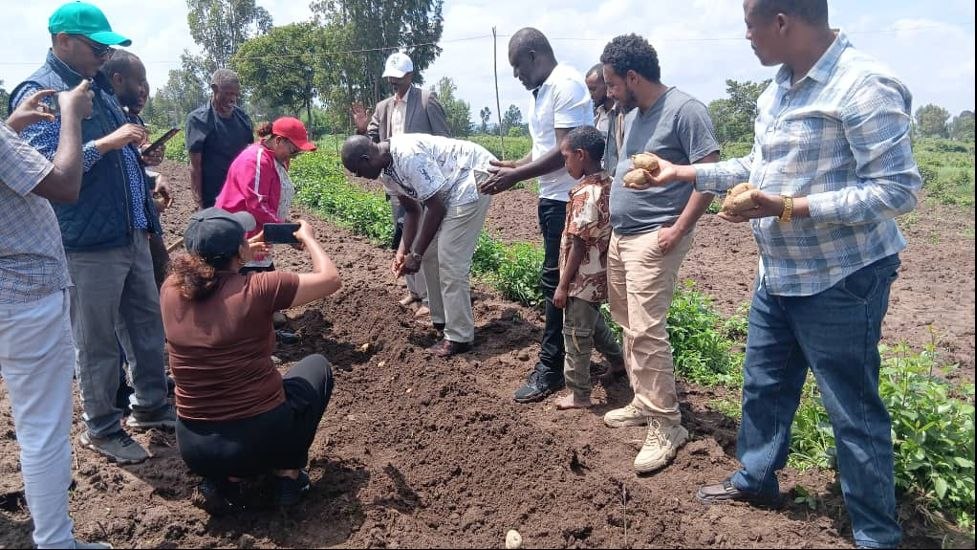 Meeting with the TAGDev 2.0 project team planting potato