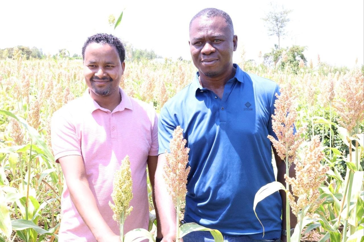 Haramaya University Commended for Successful Technology Transfer under misinga